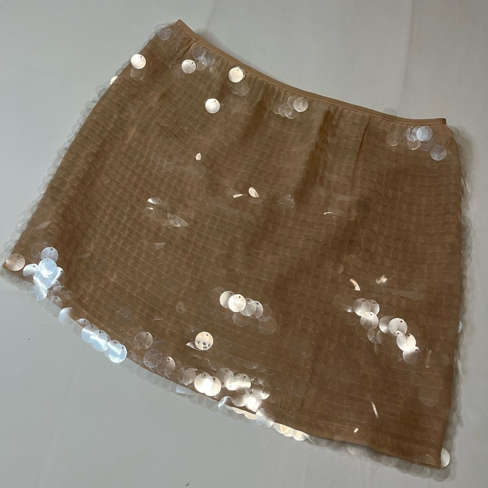 Paillette Skirt